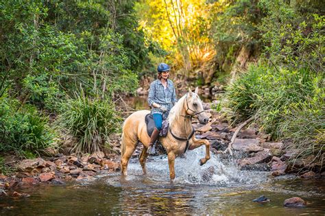 horse riding courses south australia.